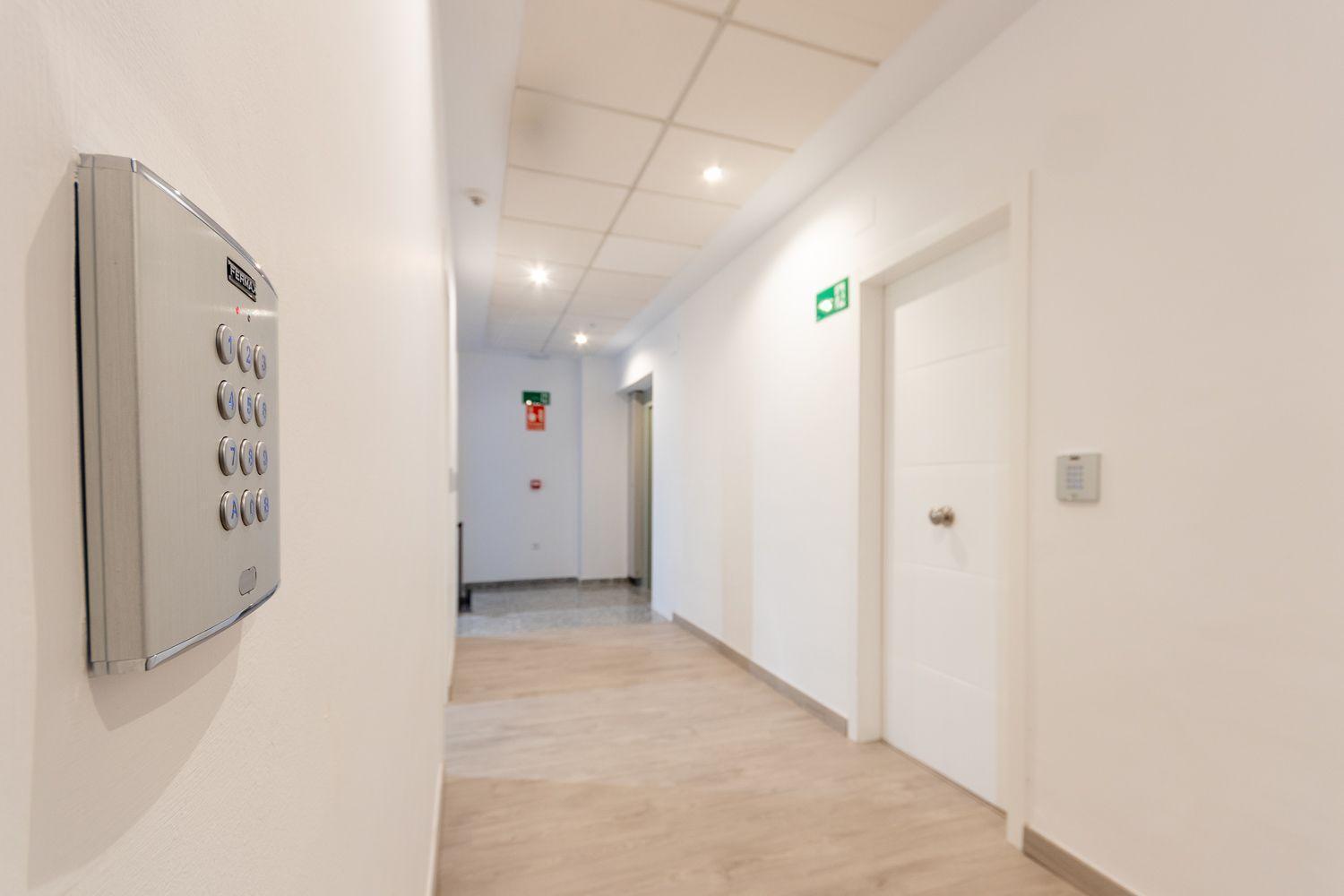 Apartamentos Basilica Santa Eulalia Parking Gratis Mérida Exteriör bild